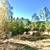 5Acres Mulholland and 405 fwy top of SM mountains 4 thumbnail