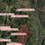 Nice, quiet, peaceful 1.24 Acre 11 thumbnail