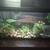 Fish tank set up 3 thumbnail