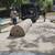 CARPET INSTALLATION: Carpet  Padding & installation $1.75 per Sq. Ft. 2 thumbnail