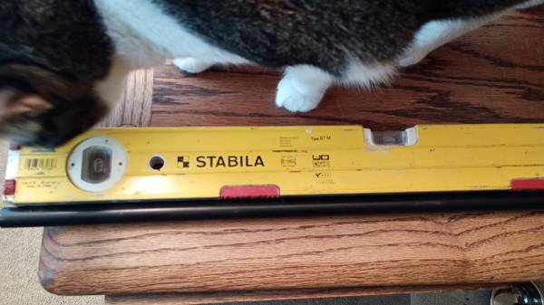 leveler 1