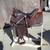 Saddles and Tack 1 thumbnail