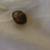 800 Amber Beads 2 thumbnail