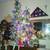 Beautiful! Winter Lane Flock LED Christmas Tree Set 4 thumbnail