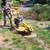 Stump grinder 7 thumbnail