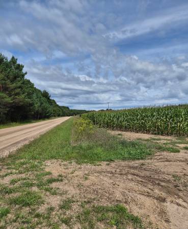 $139,000 22 Acres near Chief Lake (Kaleva,)64037724604291120