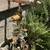 Complete Plumbing Service And Repairs 18 thumbnail
