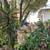GATED SINGLE FAMILY HOUSE, RV & BOAT PARKING + WORKSHOP + STORAGE 19 thumbnail