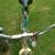 2 vintage bike 6 thumbnail