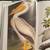 AUDUBON'S BIRDS OF AMERICA BOOK 10 thumbnail