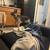 Rehoming fee $200 4 thumbnail