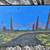 Painting of Evening Scene with Trees/City in Background! 1 thumbnail