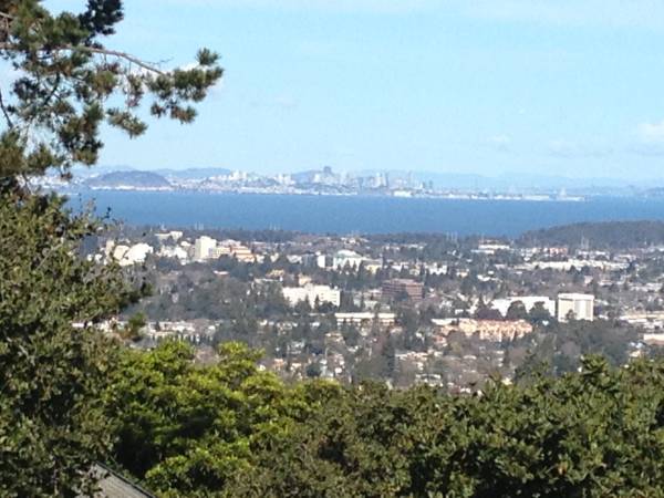 $1,288 / 1br - Furnished room in Bayview house - Laundry- Kitchenette- Fast WiFi (san mateo)63682813993089123