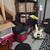 Schecter protoytype 5 string bass 2 thumbnail