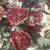 Floral Roll Arm Chair by Vanguard Furniture Company, Hickory, NC 4 thumbnail