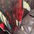 Surfboards  ODYSEA 5’6” x 21.0” x 2.875” (42 Liters) 8 thumbnail