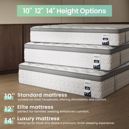 SLEEP100 Queen Mattress 12 Inch, 5-Zone Deep Sleep Firm