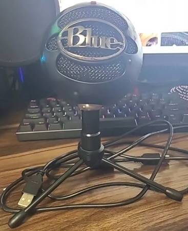 Blue Home Recording Wired Condenser Microphone 1