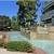 Roommate Needed ASAP 2 b/2 br 4 thumbnail