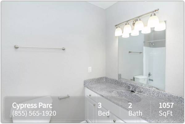 Well-equipped kitchen! Dishwasher included! Cypress Parc 1