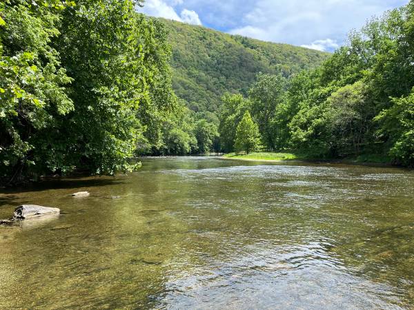 $149,999 / 74052ft2 - River Front Lot Buildable (Maurertown VA)64040028256899121