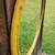 Ornate Circular Mirror 5 thumbnail
