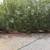 LARGE AND LIGHT 2 BR TRIPLEX - YOUR CAT WILL LOVE IT HERE! 4 thumbnail