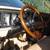 1979 FORD F350 4X4 DANA 60'S 6 thumbnail