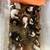 guinea pigs for sale 8 thumbnail