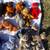 MANY Beanie Babies 4 thumbnail