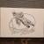 Extras added!!! Haro Freestyle 40th Anniversary 13 thumbnail