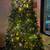 9’ Christmas Tree 2 thumbnail