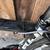 Fuji Altamira Di2 LE Full Carbon Road Bike (Single speed) 4 thumbnail