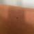 Couch, two bookshelves, dining room table and chairs 7 thumbnail