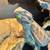bearded dragon 2 thumbnail