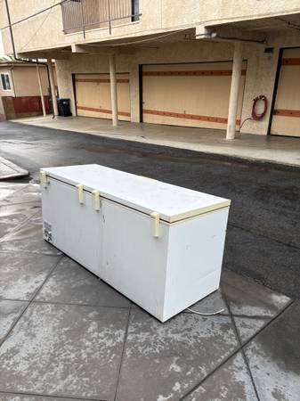 Curb Alert - Working Large Chest Freezer 1