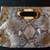 Brand New Never Used Michael Michael Kors Snakeskin Clutch 1 thumbnail