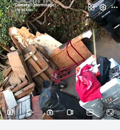 FREE WOOD 1