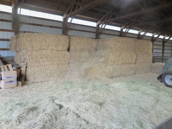 2023 Timothy Hay barn stored 1