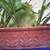 PLANT-LARGE STAG FERN IN CLAY POT 3 thumbnail