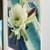 Wonderful Photo Art by California Artist Susie or Tom Cartt. Flower 5 thumbnail
