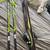Salomon Skiis, bindings and poles 1 thumbnail