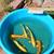 koi fish, fruit trees, and equipment 22 thumbnail
