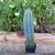 San Pedro Cactus 6 thumbnail