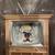 Christmas - Rudolph - Hermey on TV Ornament 2 thumbnail