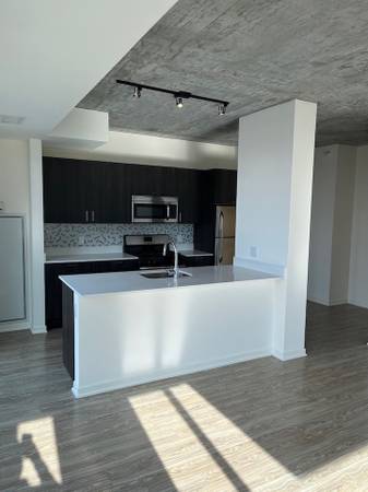 $3,000 / 2br - 1150ft2 - South Loop 2 bed with in unit washer/dryer, hw floors, ss appli (South Loop)63898984777986122