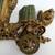 Burwood Carriage Decorative Wall Hanging $300 OBO 8 thumbnail