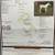2025 Solid Paint Smokey Cream Filly 5 thumbnail