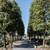 1706 Steve Ave, Open Plan HW Studio in Stevens, Walk DT, Pets OK! 19 thumbnail