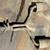 C4 CORVETTE Exhaust + Other Parts What do you need???? 5 thumbnail